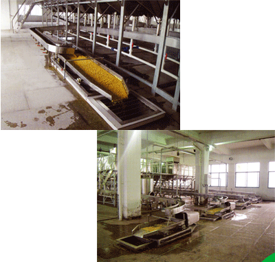 ��¥�ݶ���ϴϵͳ